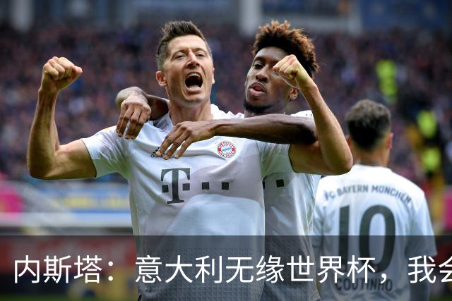 内斯塔：意大利无缘世界杯，我会支持恩师安帅和好友卡纳瓦罗